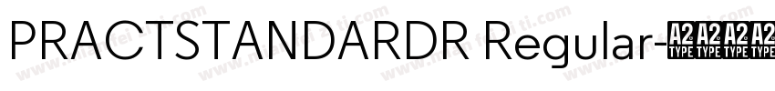 PRACTSTANDARDR Regular字体转换